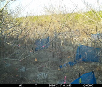 Mar 17 2026 16:13:48, #01