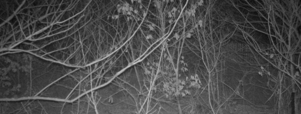 Mar 17 2026 19:13:46, #01