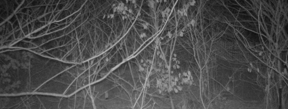 Mar 18 2026  1:13:47, #01