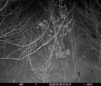 Mar 18 2026  1:13:47, #01