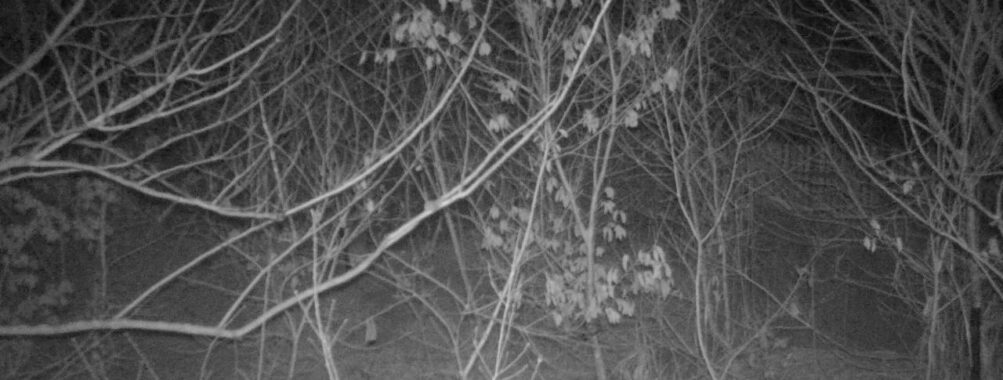 Mar 18 2026  4:13:46, #01