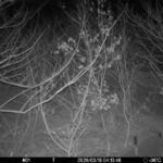 Mar 18 2026  4:13:46, #01