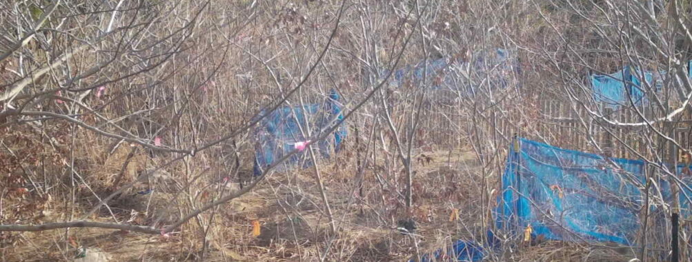 Mar 18 2026  7:13:48, #01