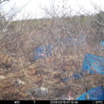 Mar 18 2026  7:13:48, #01