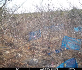 Mar 18 2026  7:13:48, #01