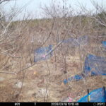 Mar 18 2026 10:13:48, #01