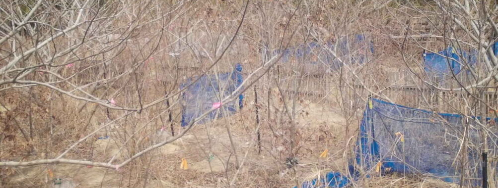 Mar 18 2026 13:13:46, #01