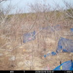 Mar 18 2026 13:13:46, #01