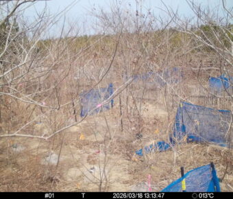 Mar 18 2026 13:13:46, #01