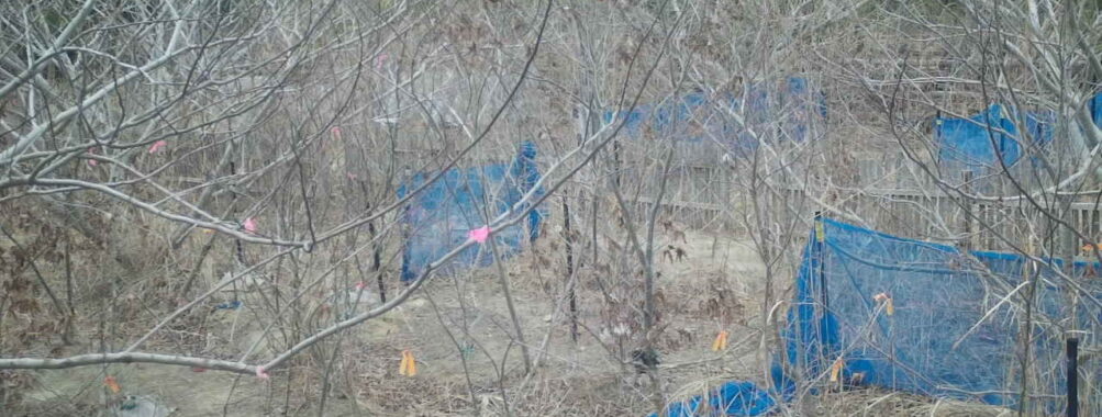 Mar 18 2026 16:13:48, #01