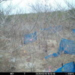 Mar 18 2026 16:13:48, #01