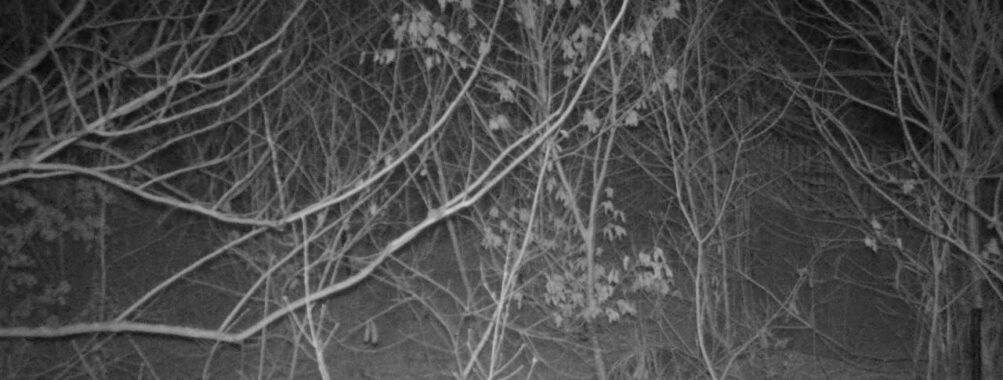 Mar 18 2026 19:13:47, #01