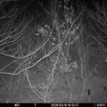 Mar 18 2026 19:13:47, #01