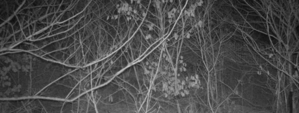 Mar 19 2026  1:13:47, #01