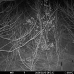 Mar 19 2026  1:13:47, #01