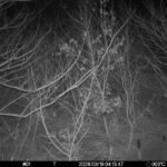 Mar 19 2026  4:13:47, #01