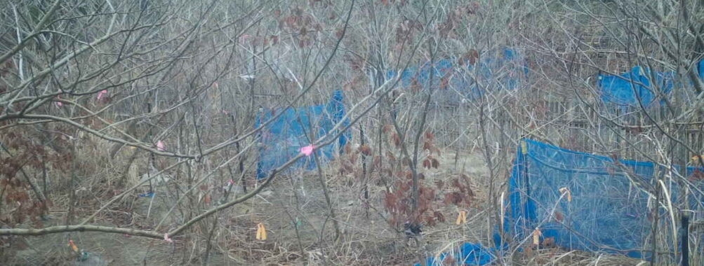 Mar 19 2026  7:13:48, #01