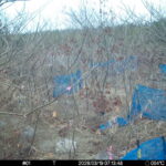 Mar 19 2026  7:13:48, #01