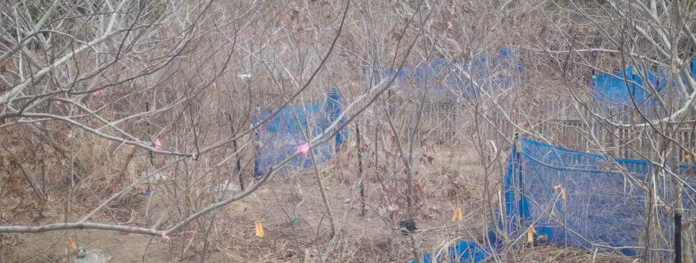 Mar 19 2026 10:13:48, #01