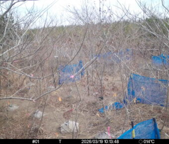 Mar 19 2026 10:13:48, #01