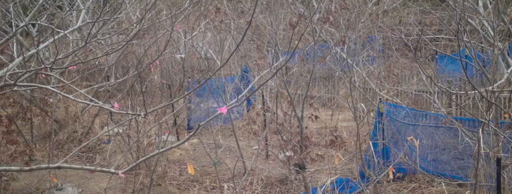 Mar 19 2026 13:13:48, #01