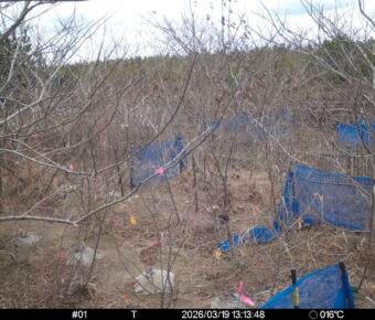 Mar 19 2026 13:13:48, #01