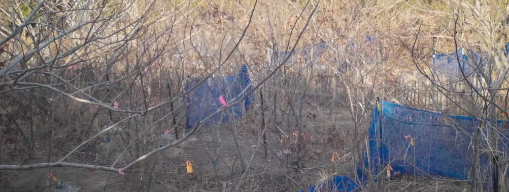 Mar 19 2026 16:13:48, #01