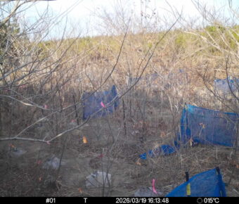 Mar 19 2026 16:13:48, #01