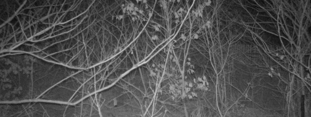 Mar 19 2026 22:13:47, #01