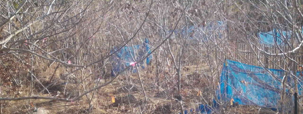 Mar 20 2026  7:13:47, #01