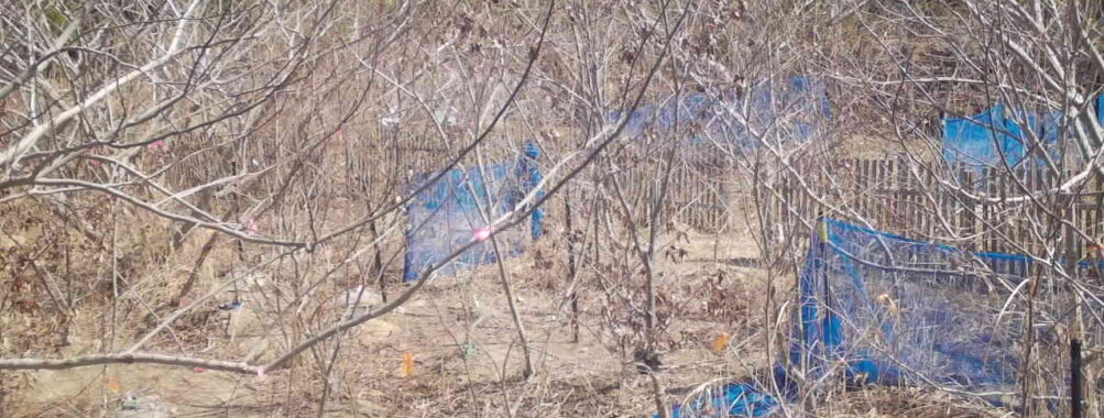 Mar 20 2026 10:13:48, #01