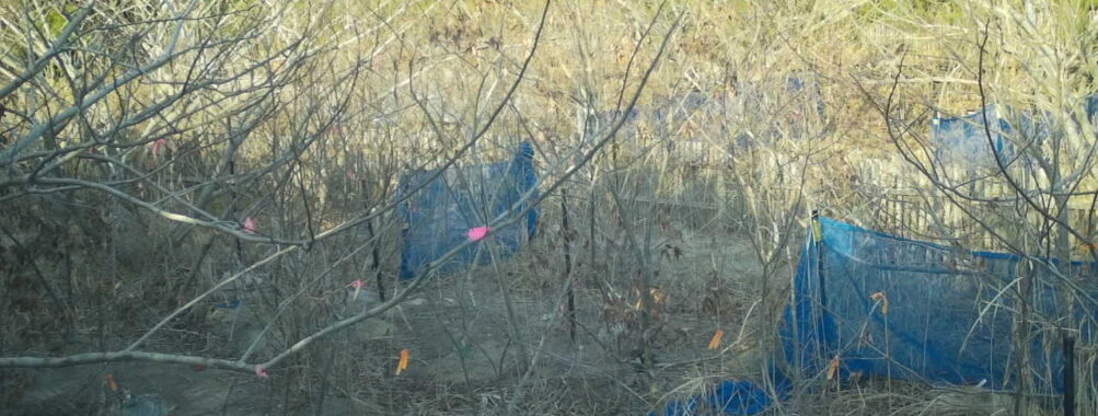 Mar 20 2026 16:13:48, #01