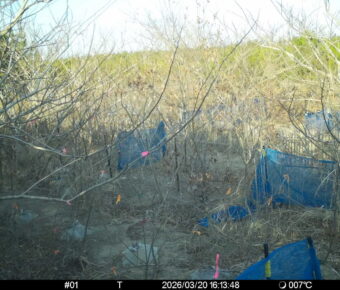 Mar 20 2026 16:13:48, #01