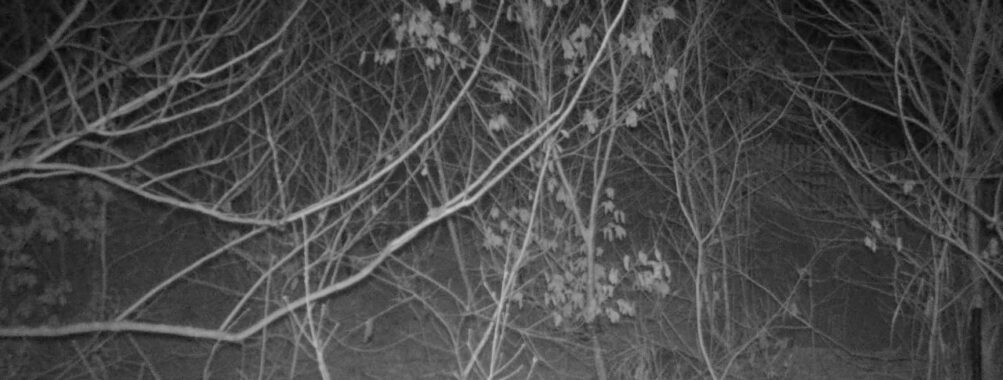 Mar 20 2026 19:13:47, #01