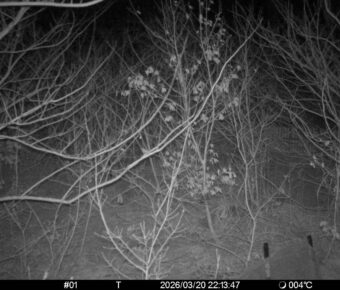 Mar 20 2026 22:13:47, #01