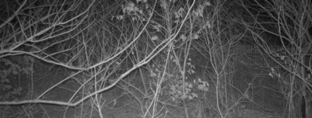 Mar 21 2026  1:13:47, #01