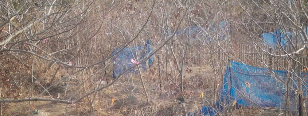 Mar 21 2026  7:13:48, #01