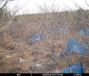 Mar 21 2026  7:13:48, #01