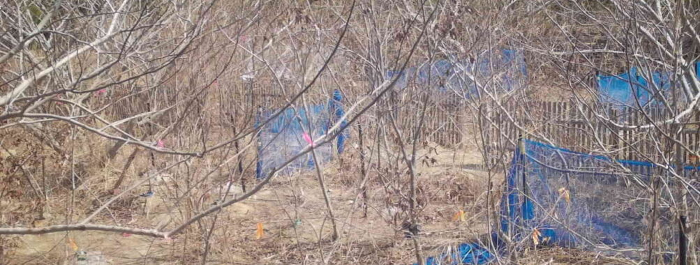 Mar 21 2026 10:13:47, #01