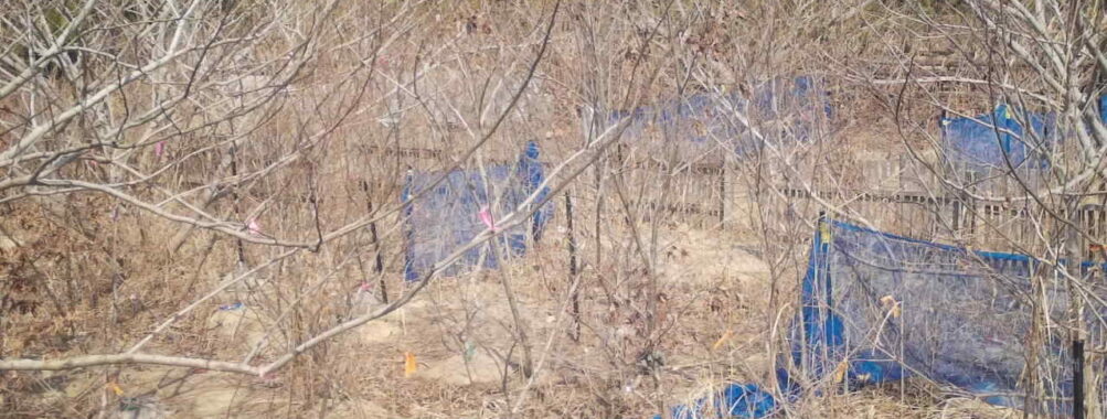 Mar 21 2026 13:13:47, #01