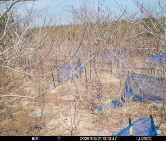 Mar 21 2026 13:13:47, #01