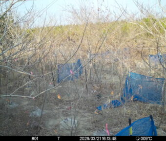 Mar 21 2026 16:13:47, #01