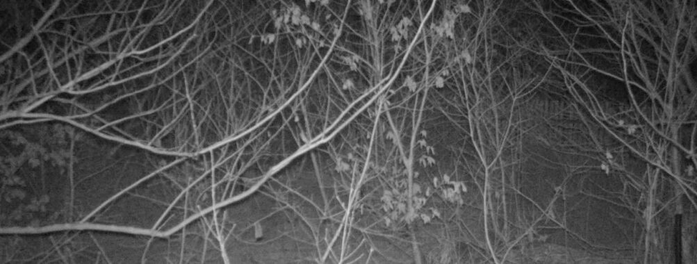 Mar 21 2026 22:13:47, #01