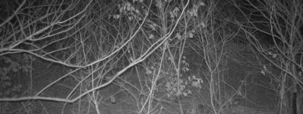 Mar 22 2026  1:13:47, #01