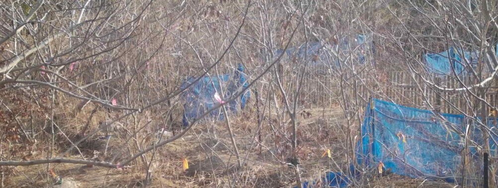 Mar 22 2026  7:13:48, #01