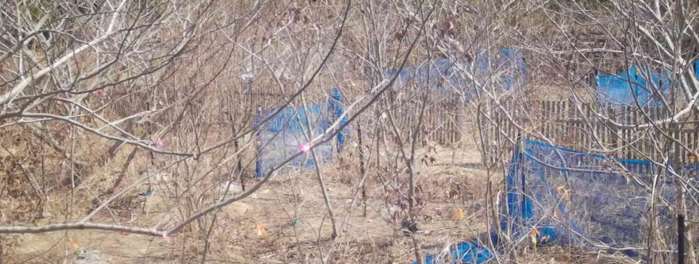 Mar 22 2026 10:13:48, #01