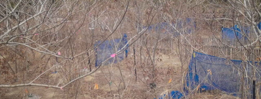 Mar 22 2026 13:13:47, #01