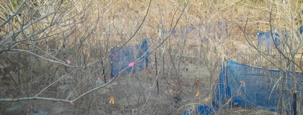 Mar 22 2026 16:13:48, #01