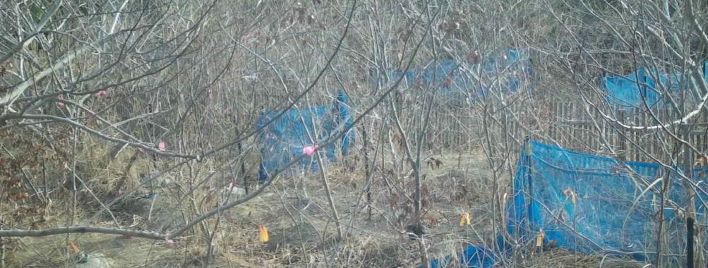 Mar 23 2026  7:13:48, #01