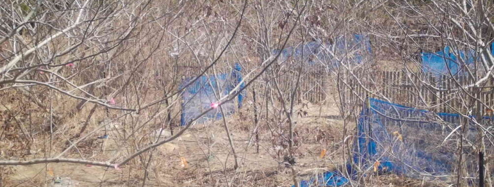 Mar 23 2026 10:13:48, #01